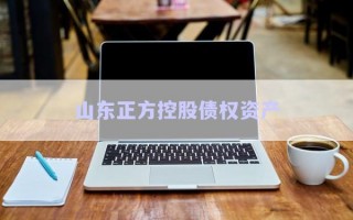 山東正方控股債權(quán)資產(chǎn)