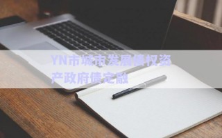 YN市城市發(fā)展債權(quán)資產(chǎn)政府債定融
