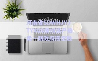 河南省SDWHJYJTYXGS債權(quán)資產(chǎn)拍賣(mài)一期政府債定融