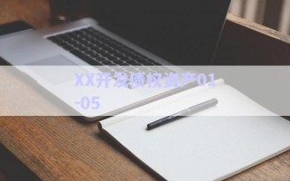 XX開發(fā)債權(quán)資產(chǎn)01-05