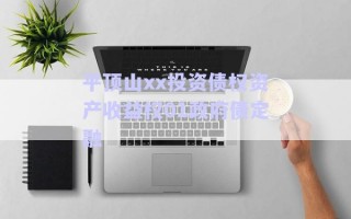 平頂山xx投資債權(quán)資產(chǎn)收益權(quán)01政府債定融