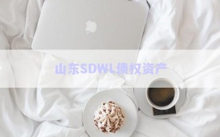 山東SDWL債權(quán)資產(chǎn)
