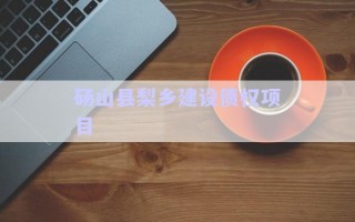 碭山縣梨鄉(xiāng)建設(shè)債權(quán)項目 碭山縣梨鄉(xiāng)建設(shè)債權(quán)項目