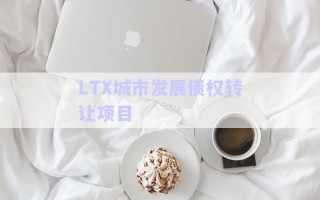 LTX城市發(fā)展債權轉讓項目