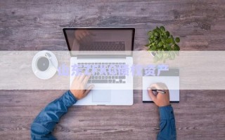 山東ZFKG債權(quán)資產(chǎn)