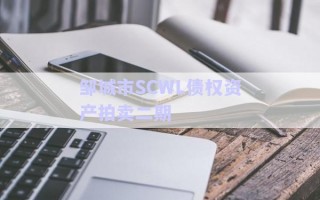 鄒城市SCWL債權(quán)資產(chǎn)拍賣二期 鄒城市SCWL債權(quán)資產(chǎn)拍賣二期