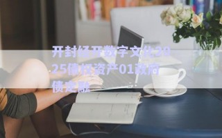 開封經(jīng)開數(shù)字文化2025債權(quán)資產(chǎn)01政府債定融