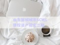 山東鄒城城市SCWL債權(quán)資產(chǎn)拍賣(mài)二期