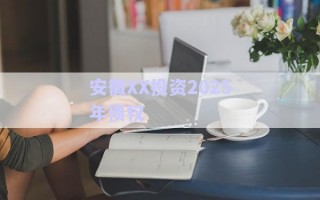 安徽XX投資2025年債權(quán)