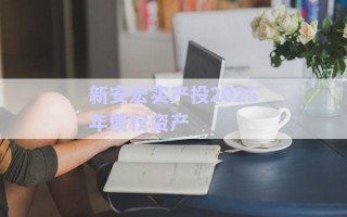 新安宏實產(chǎn)投2025年債權(quán)資產(chǎn) 新安宏實產(chǎn)投2025年債權(quán)資產(chǎn)