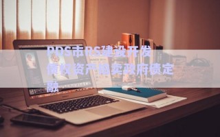 PDS市RS建設(shè)開(kāi)發(fā)債權(quán)資產(chǎn)拍賣政府債定融