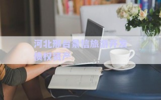 河北邢臺景信旅游開發(fā)債權(quán)資產(chǎn)