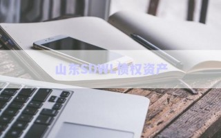 山東SDWL債權(quán)資產(chǎn) 山東SDWL債權(quán)資產(chǎn)
