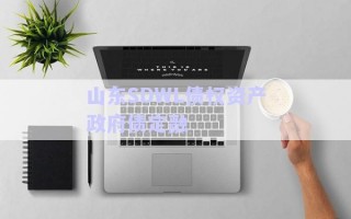 山東SDWL債權(quán)資產(chǎn)政府債定融 山東SDWL債權(quán)資產(chǎn)政府債定融