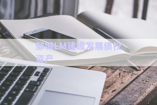 鄒城LM建設發(fā)展債權資產-第1張圖片-政信固收網