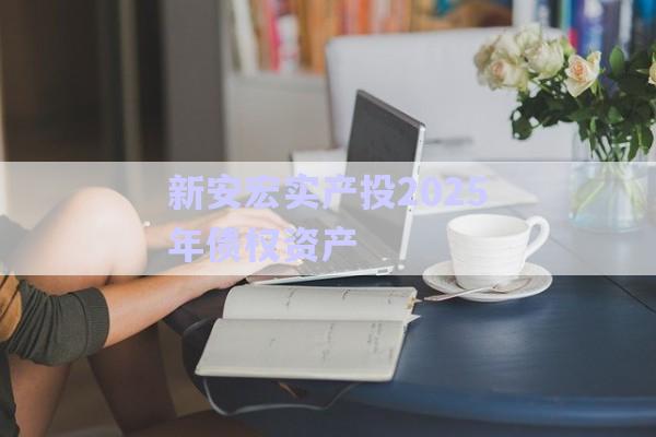 新安宏實產(chǎn)投2025年債權(quán)資產(chǎn)-第1張圖片-政信固收網(wǎng)