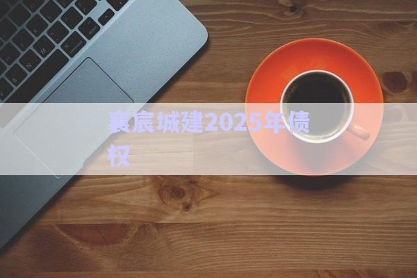 襄宸城建2025年債權(quán)-第1張圖片-政信固收網(wǎng)