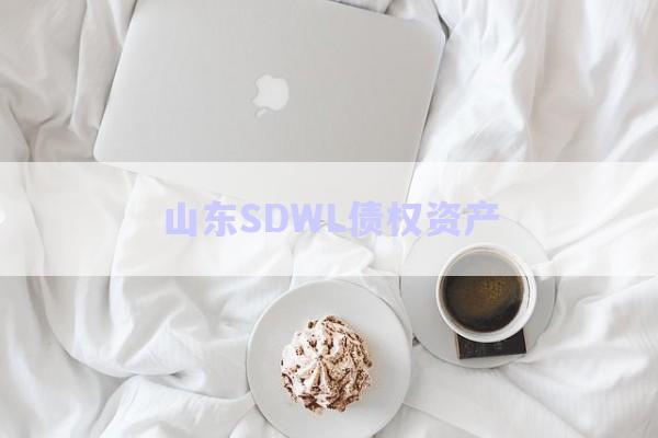 山東SDWL債權(quán)資產(chǎn)-第1張圖片-政信固收網(wǎng)