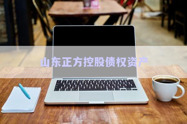 山東正方控股債權(quán)資產(chǎn)-第1張圖片-政信固收網(wǎng)